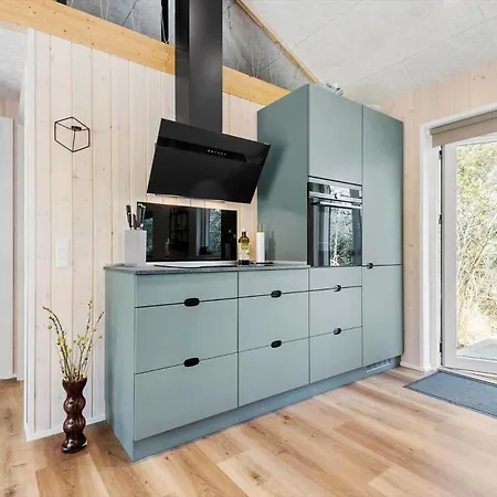 C11413-skjern-hybenvej-27 度假居 斯凯恩