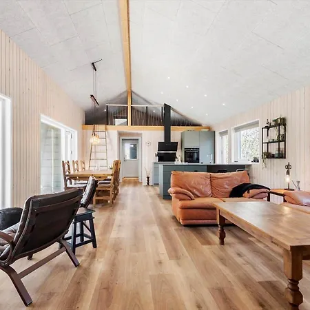 C11413-skjern-hybenvej-27 度假居 斯凯恩