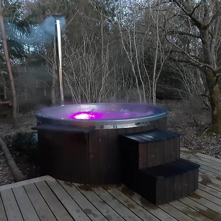 C11413-skjern-hybenvej-27 度假居 斯凯恩