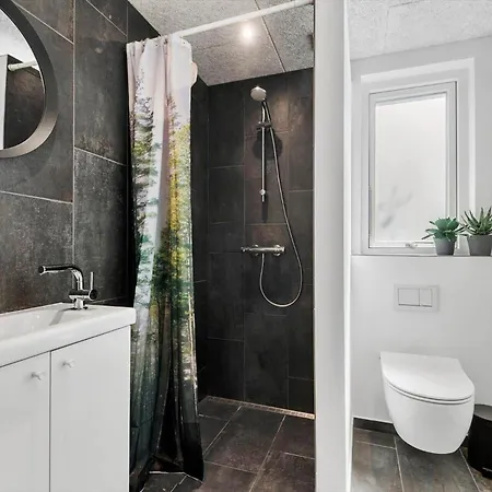 度假居 C11413-skjern-hybenvej-27 斯凯恩