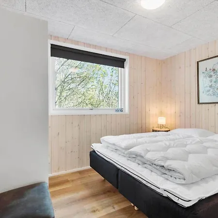 度假居 C11413-skjern-hybenvej-27 斯凯恩