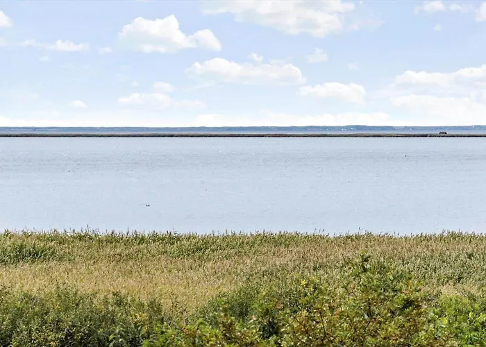 C11413-skjern-hybenvej-27 Hébergement de vacances Skjern
